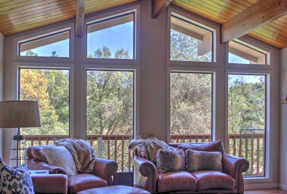 Cabin with Soaring Windows and Hot Tub Near Yosemite - Groveland, California