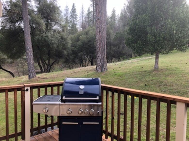 Cabin with Soaring Windows and Hot Tub Near Yosemite - Groveland, California