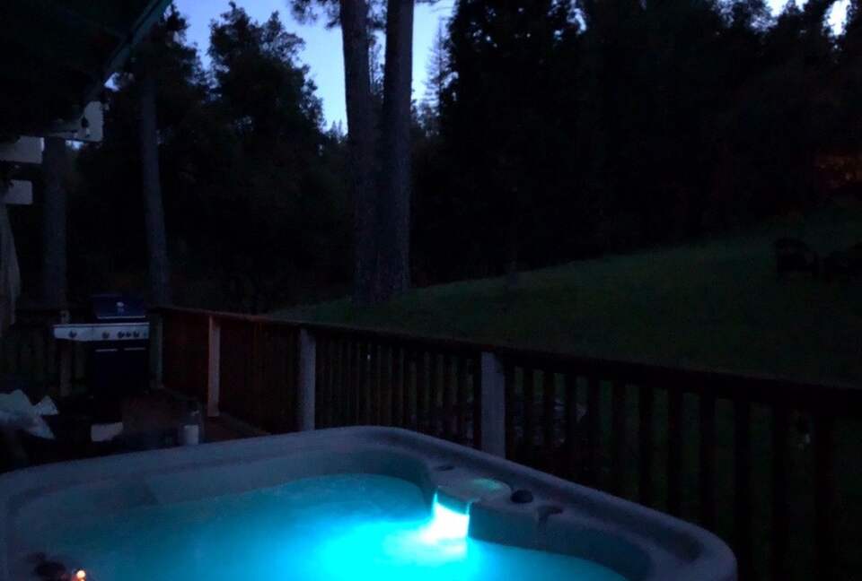 Cabin with Soaring Windows and Hot Tub Near Yosemite - Groveland, California