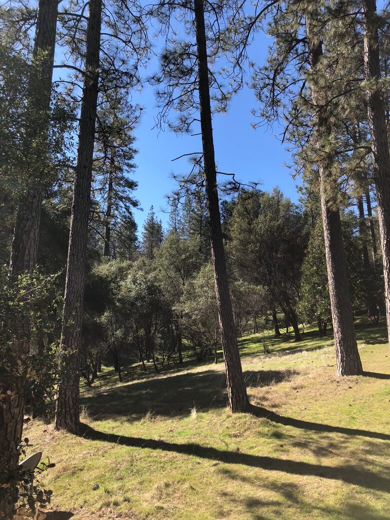 Cabin with Soaring Windows and Hot Tub Near Yosemite - Groveland, California