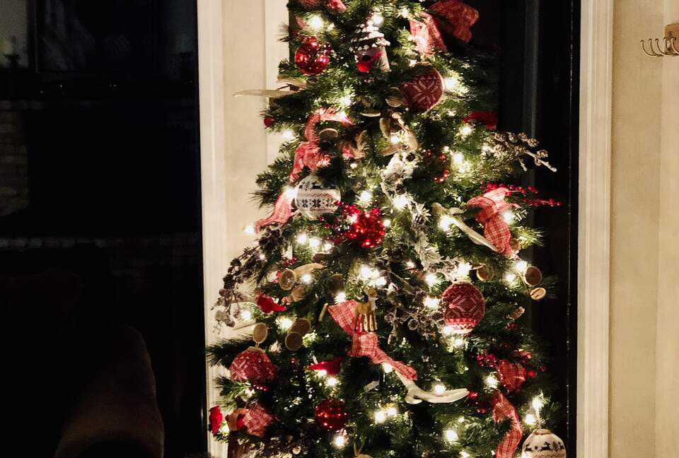 Cabin with Soaring Windows and Hot Tub Near Yosemite - Groveland, California