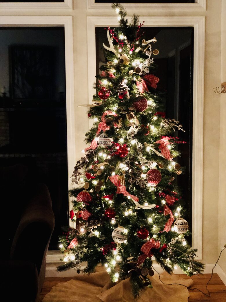 Cabin with Soaring Windows and Hot Tub Near Yosemite - Groveland, California