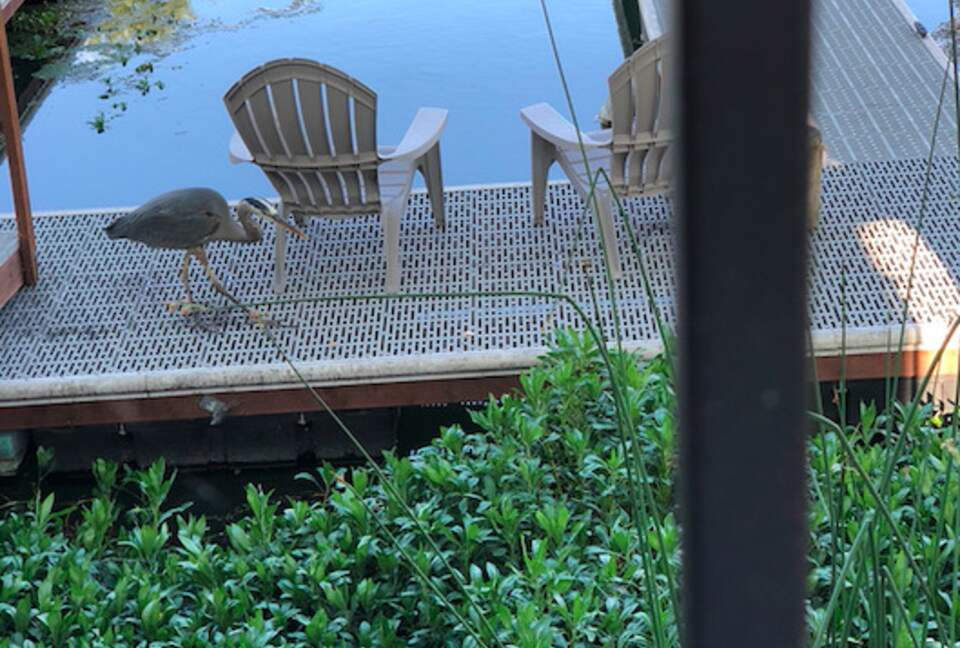 Clearlake Keys Modern Beauty - Clearlake Oaks, California