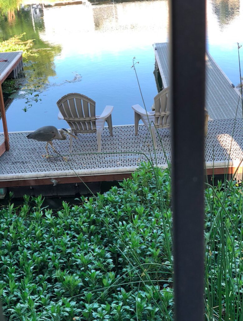 Clearlake Keys Modern Beauty - Clearlake Oaks, California