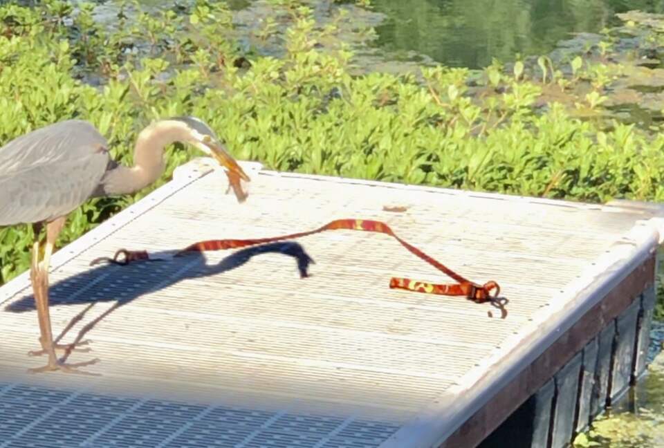 Clearlake Keys Modern Beauty - Clearlake Oaks, California