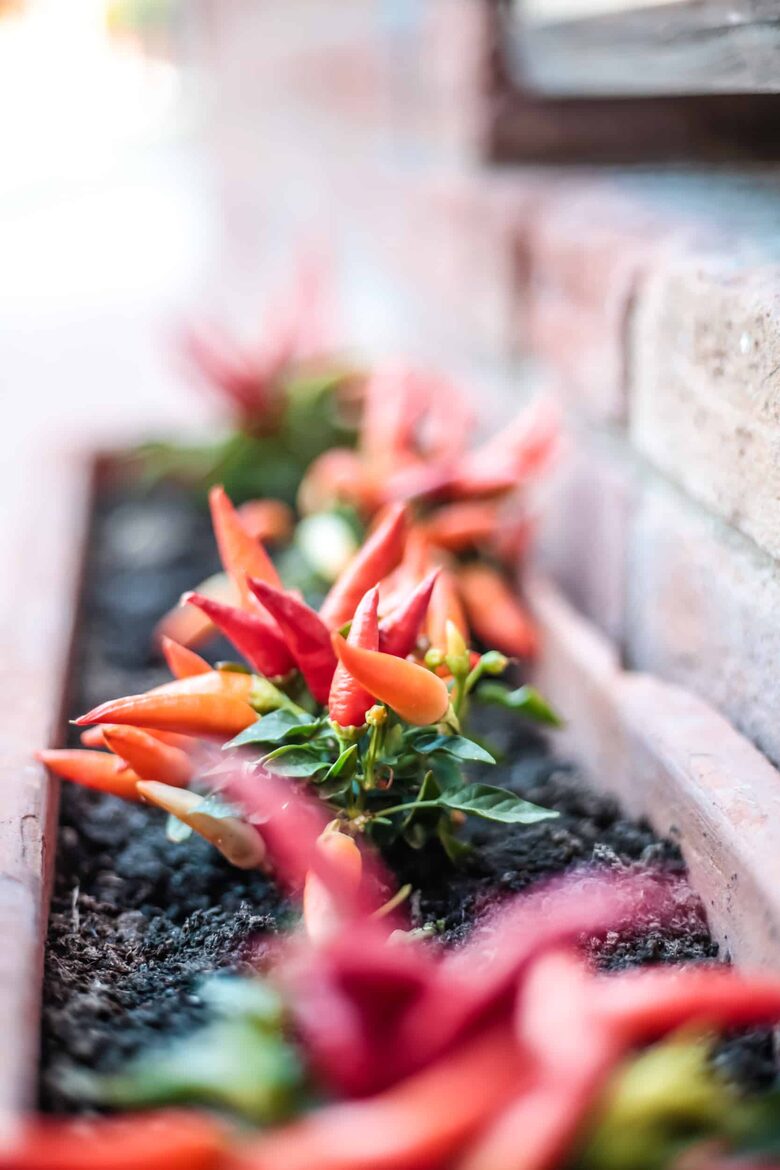 Borgo San Vincenzo | Imperial Suite - Montepulciano SI, Italy