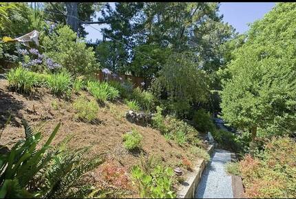 California Om, San Francisco Bay Area Getaway - Hillsborough, California