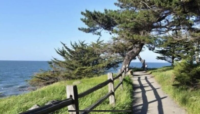 California Om, San Francisco Bay Area Getaway - Hillsborough, California