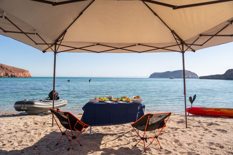50 Foot Family-Friendly Sea of Cortez Catamaran - La Paz, Mexico