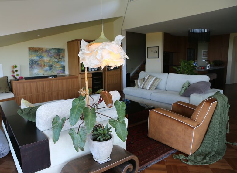 view from balcony into living room. Pop up TV when you need it.