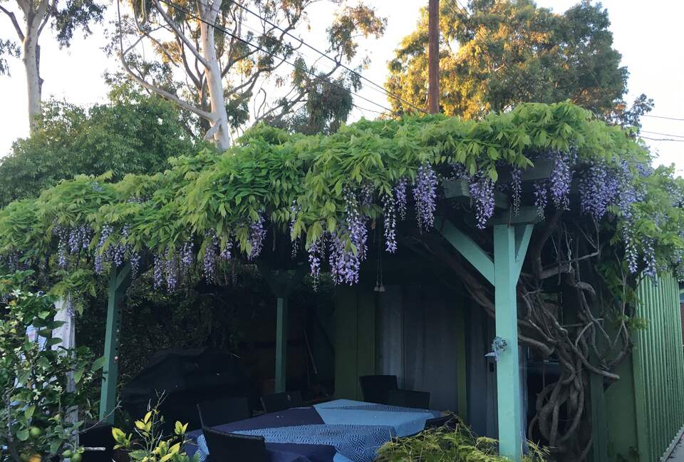 Arbor in spring, outdoor dining
