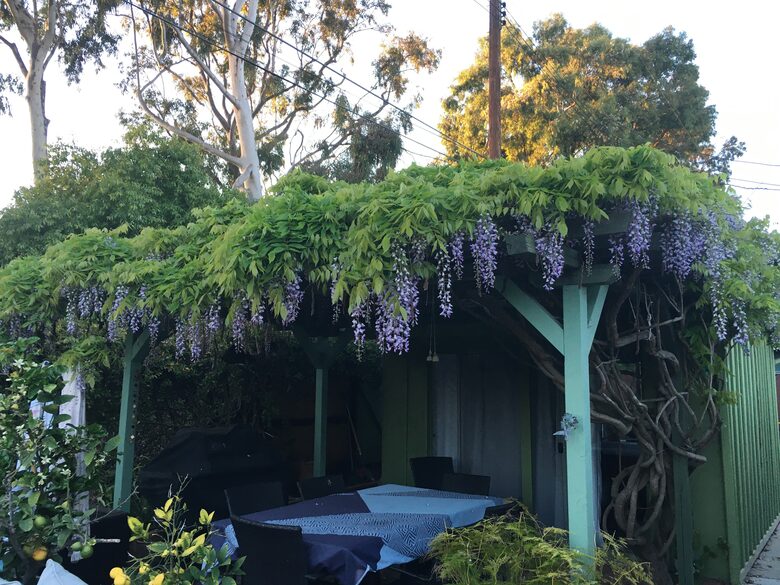 Arbor in spring, outdoor dining