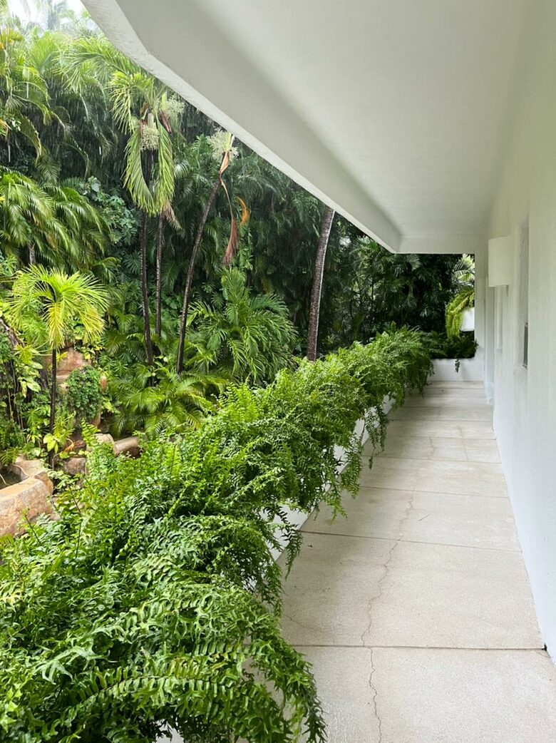 Casa Rudy - Acapulco, Mexico