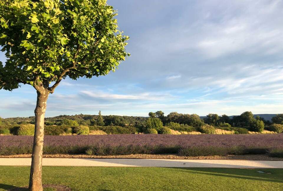 Luxury Villa In the Heart of The Luberon 'Golden Triangle' - Roussillon, Vaucluse, France
