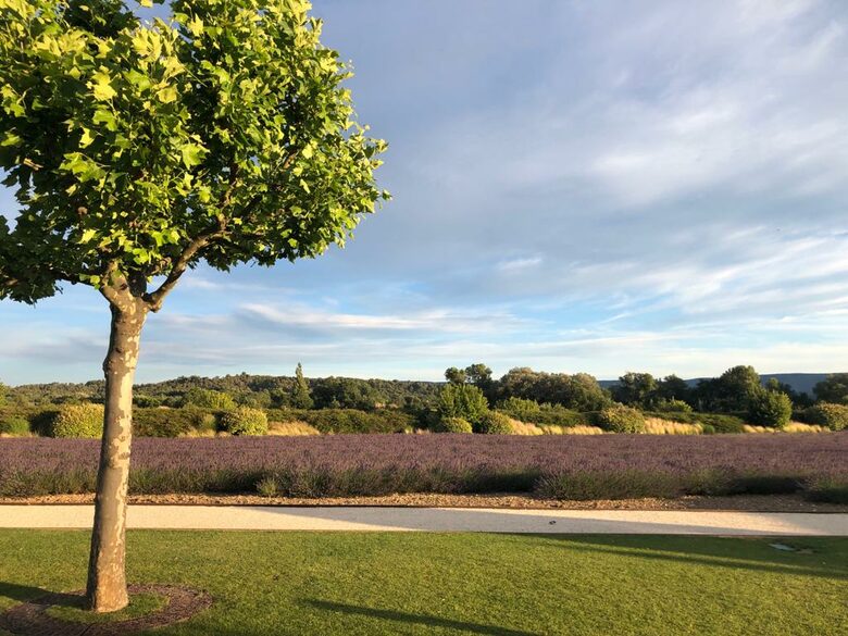 Luxury Villa In the Heart of The Luberon 'Golden Triangle' - Roussillon, Vaucluse, France