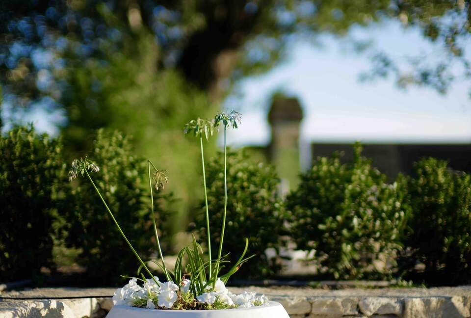 Luxury Villa In the Heart of The Luberon 'Golden Triangle' - Roussillon, Vaucluse, France