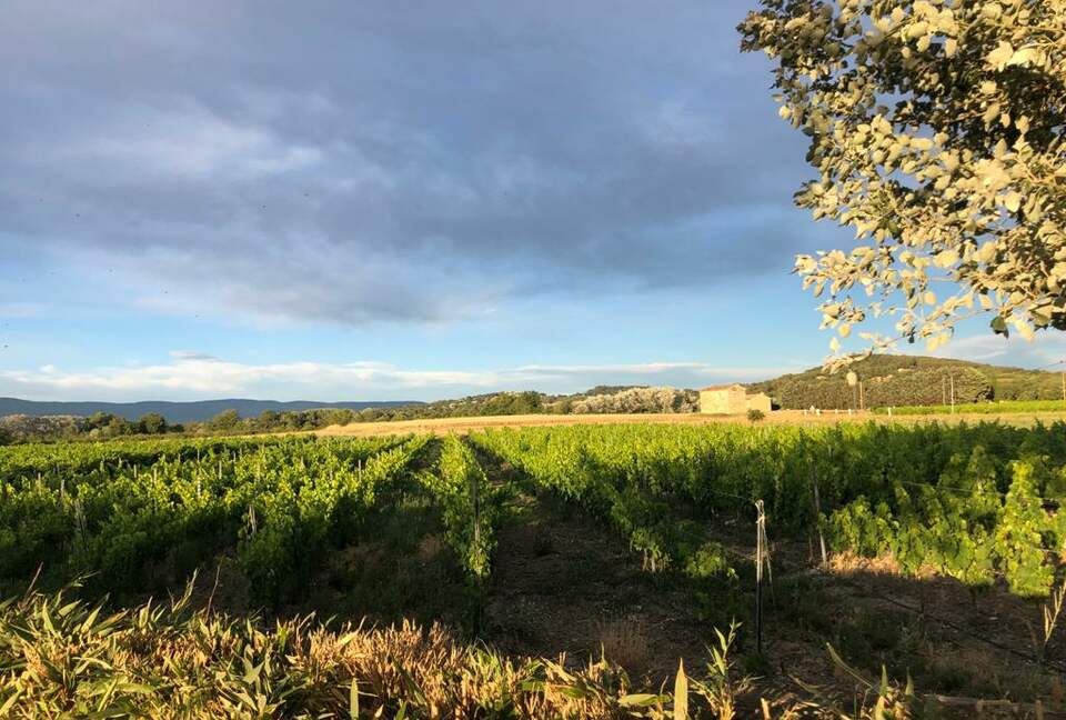 Luxury Villa In the Heart of The Luberon 'Golden Triangle' - Roussillon, Vaucluse, France