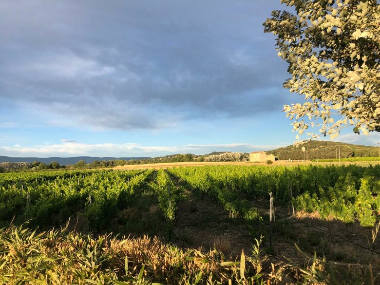 Luxury Villa In the Heart of The Luberon 'Golden Triangle' - Roussillon, Vaucluse, France