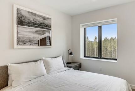 "The Thomas" Cozy Comfort with Expansive Vistas - Stowe, Vermont