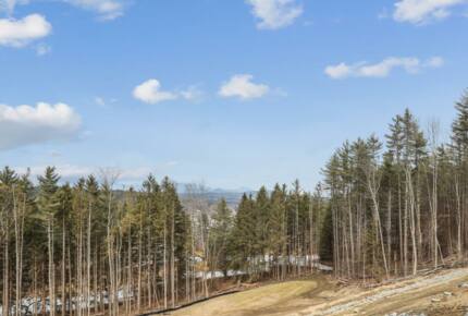"The Thomas" Cozy Comfort with Expansive Vistas - Stowe, Vermont