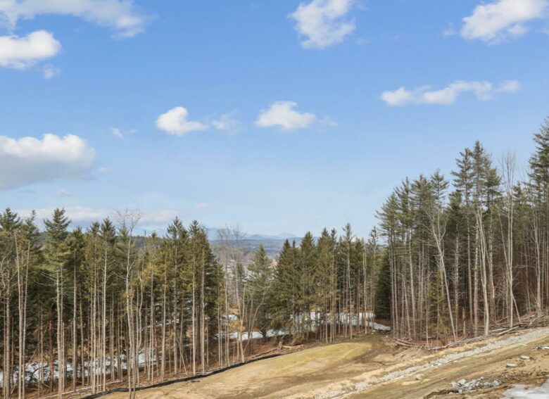 "The Thomas" Cozy Comfort with Expansive Vistas - Stowe, Vermont