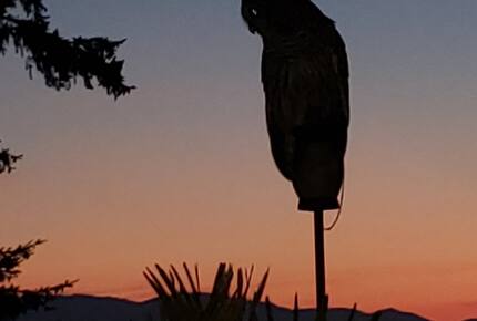 Golden Sunset Villa - Seattle, Washington