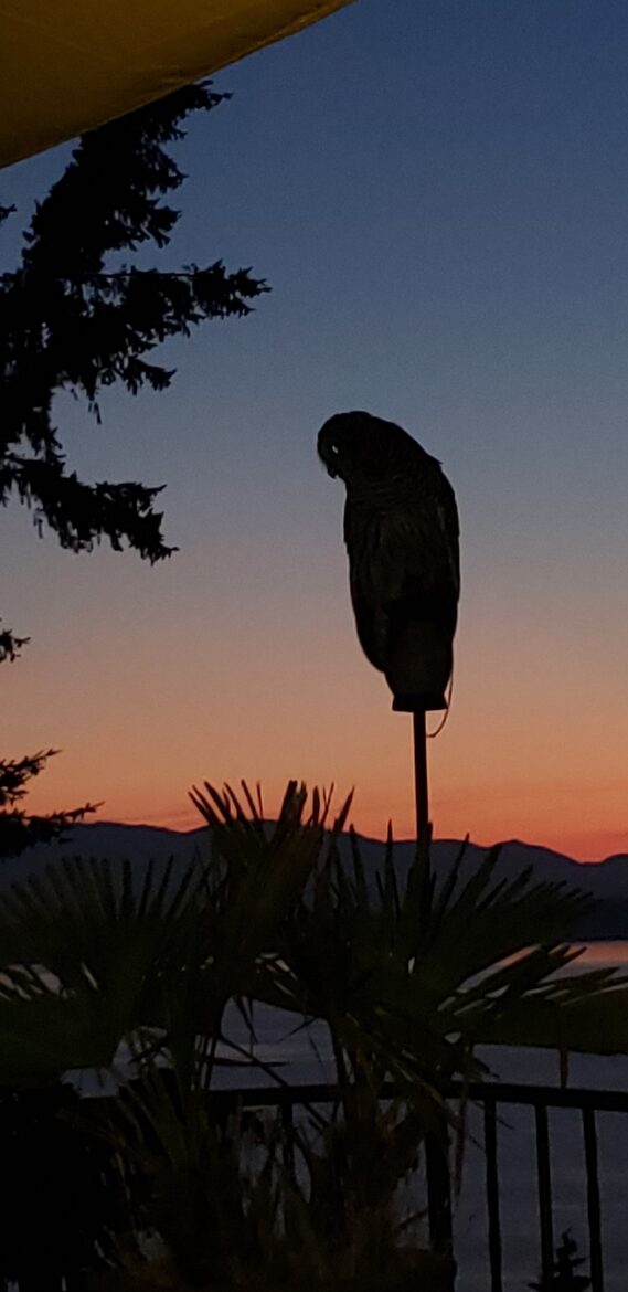 Golden Sunset Villa - Seattle, Washington