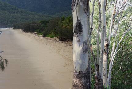 Oak Beach Dreaming - Port Douglas, Australia