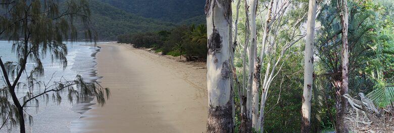 Oak Beach Dreaming - Port Douglas, Australia