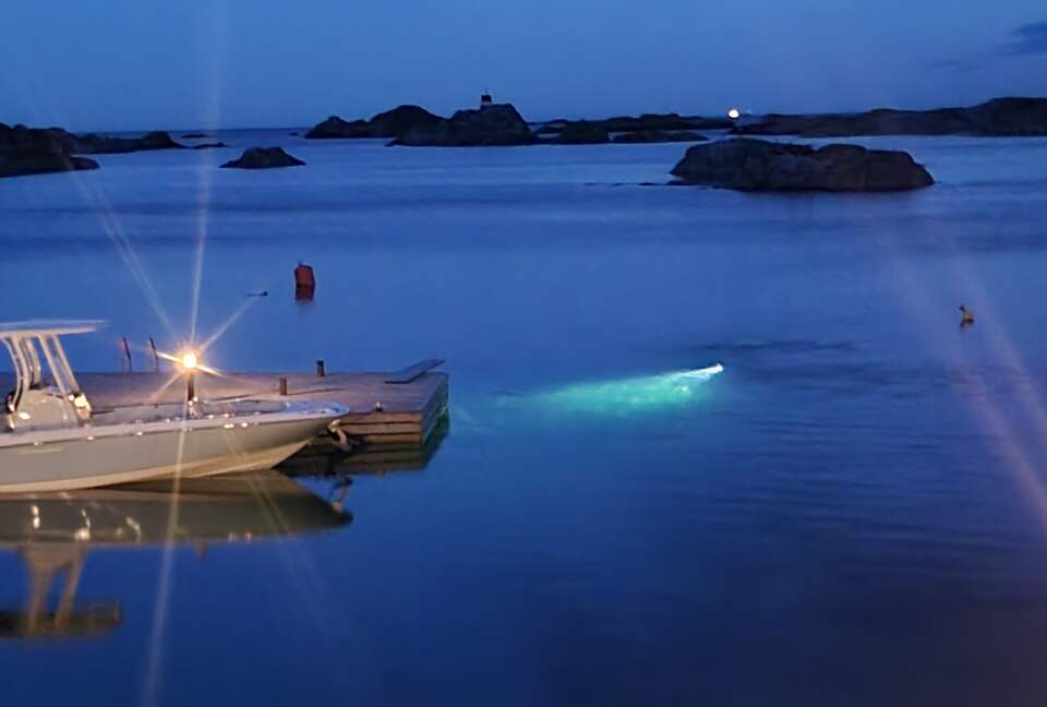 Kampedalen Estate (R) - Kristiansand, Norway