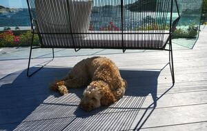 Kampedalen Estate (R) - Kristiansand, Norway