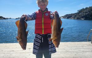 Kampedalen Estate (R) - Kristiansand, Norway