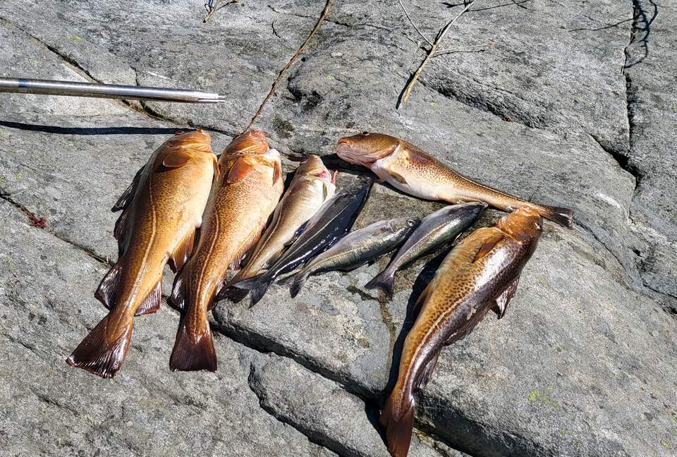 Kampedalen Estate (R) - Kristiansand, Norway