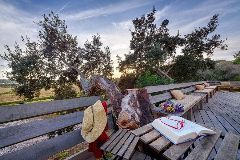 Dunapura - Comporta, Portugal