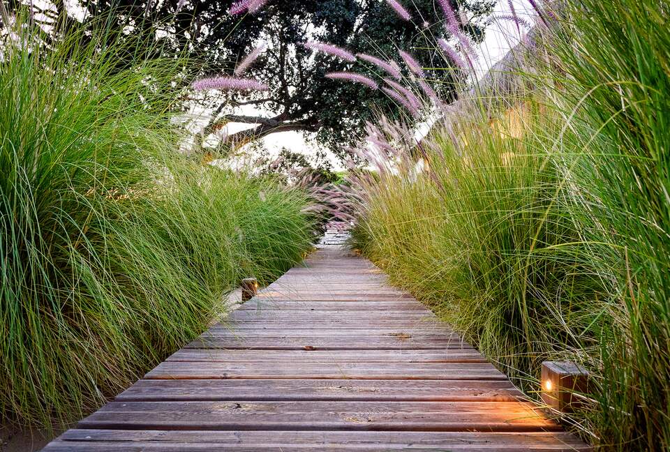 Dunapura - Comporta, Portugal