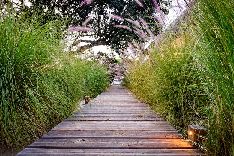 Dunapura - Comporta, Portugal