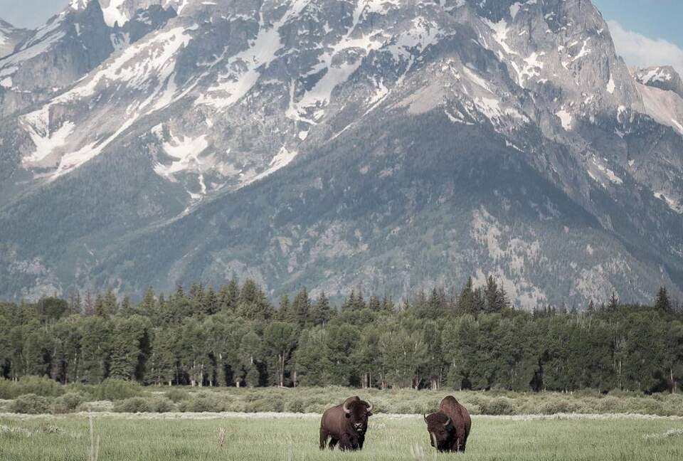 New Prairie Craftsman Charmer - Bozeman, Montana