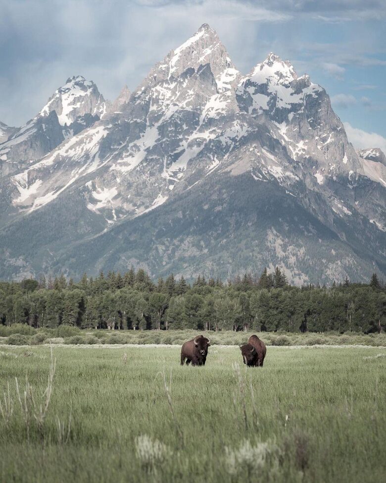 New Prairie Craftsman Charmer - Bozeman, Montana