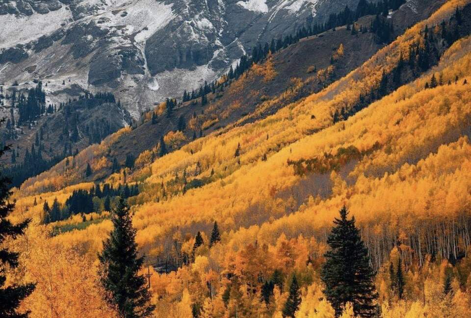 New Prairie Craftsman Charmer - Bozeman, Montana