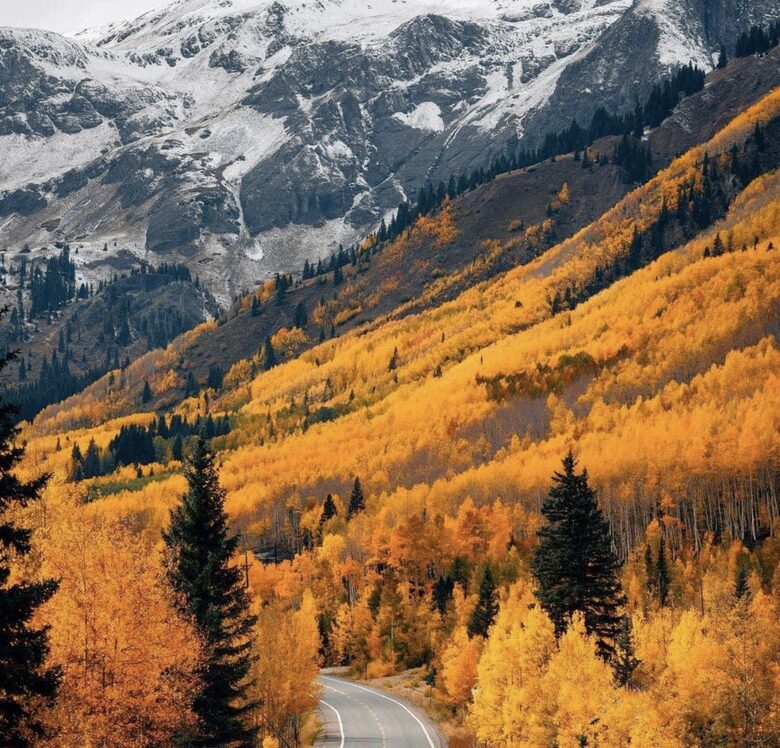 New Prairie Craftsman Charmer - Bozeman, Montana