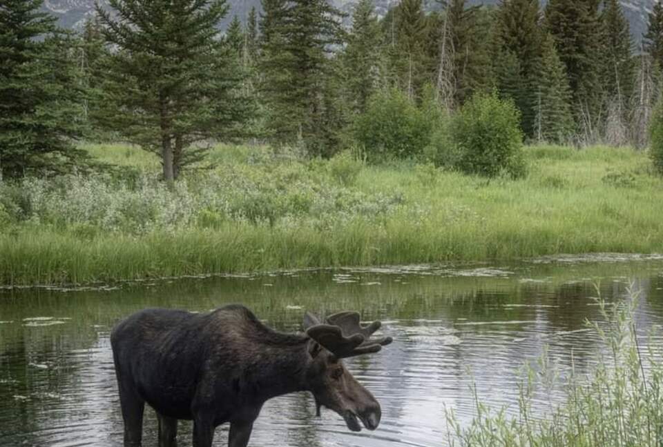 New Prairie Craftsman Charmer - Bozeman, Montana