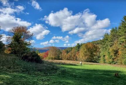 Gated 20 Acre Country Estate with Guest Cottage - Dorset, Vermont