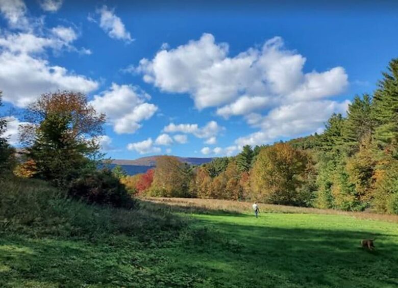 Gated 20 Acre Country Estate with Guest Cottage - Dorset, Vermont