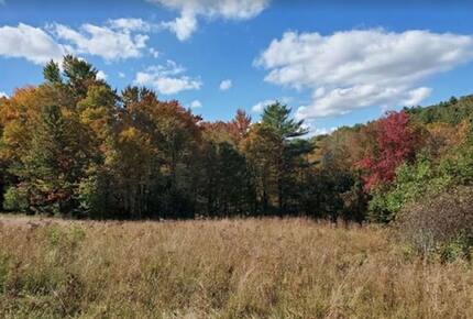 Gated 20 Acre Country Estate with Guest Cottage - Dorset, Vermont