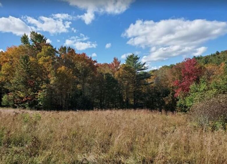 Gated 20 Acre Country Estate with Guest Cottage - Dorset, Vermont