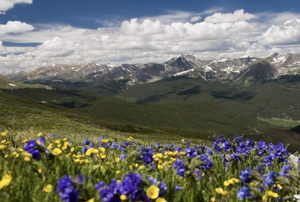 Kings Crown Charm | Steps To Snowflake Lift! - Breckenridge, Colorado