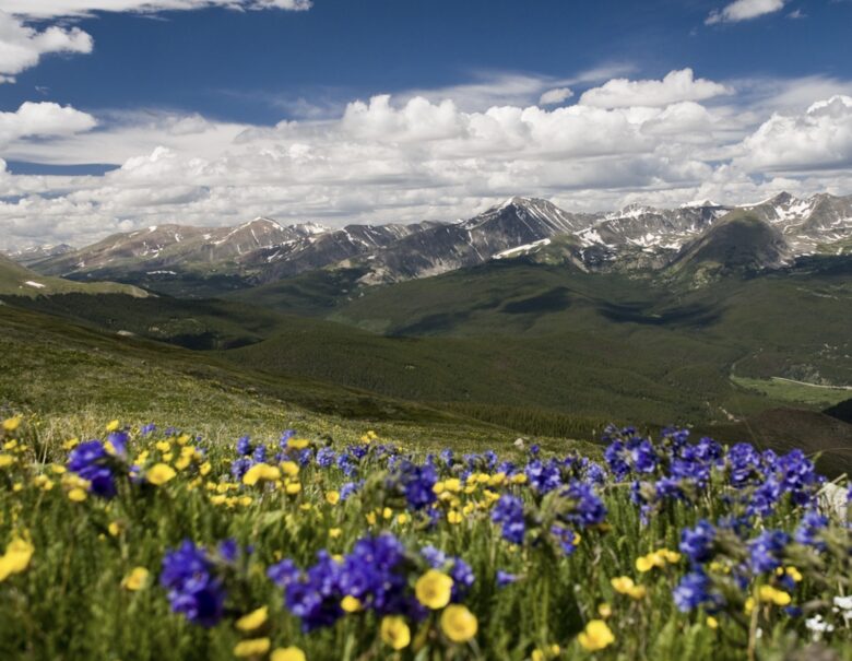 Kings Crown Charm | Steps To Snowflake Lift! - Breckenridge, Colorado
