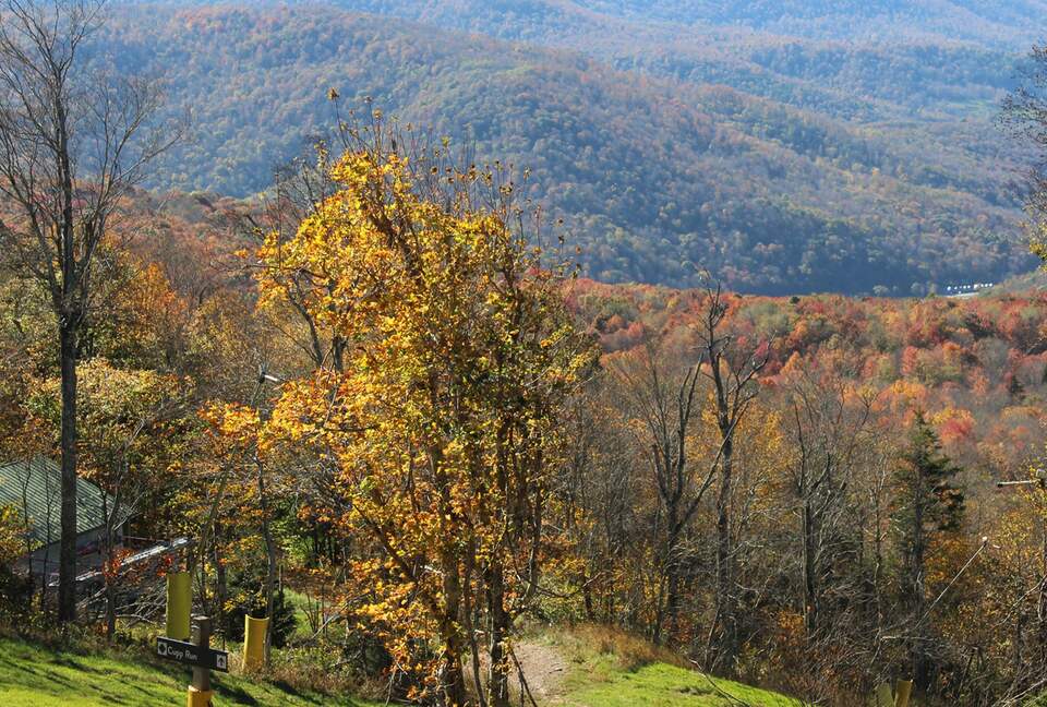 Mountain Mama Ski-In/Ski-Out Retreat - Snowshoe, West Virginia