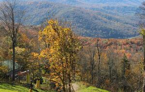 Mountain Mama Ski-In/Ski-Out Retreat - Snowshoe, West Virginia