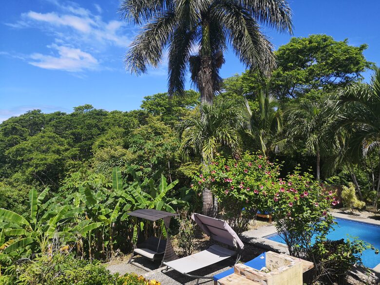 Pool with Ocean view